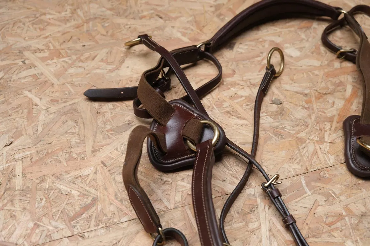 Collier de chasse Time Rider marron taille cheval
