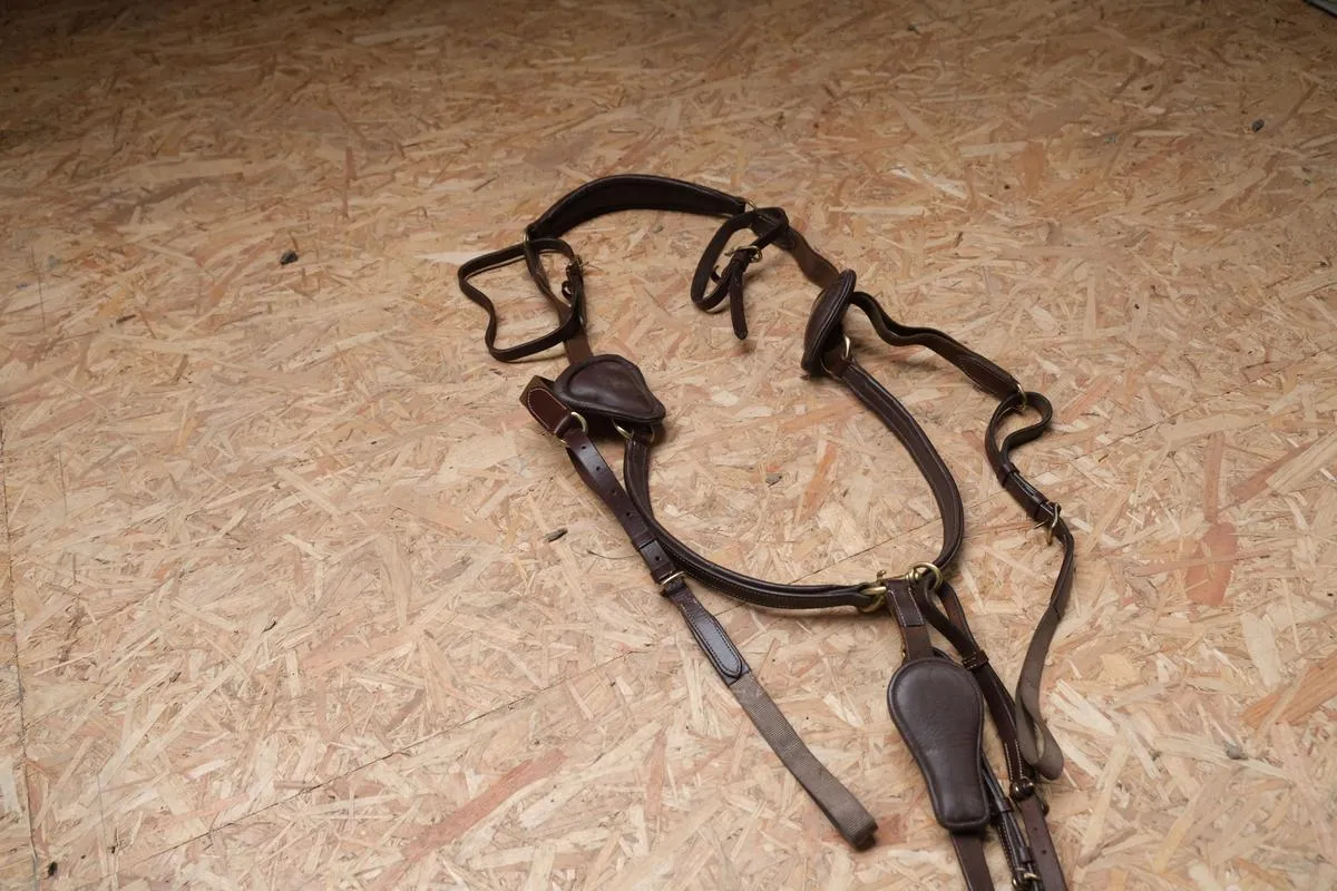 Collier de chasse Time Rider marron taille cheval