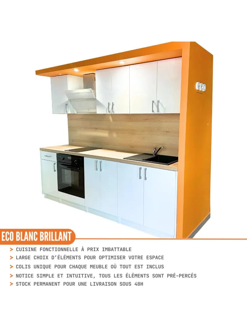 Meuble bas de cuisine Eco Blanc Brillant 2 portes L 60 cm