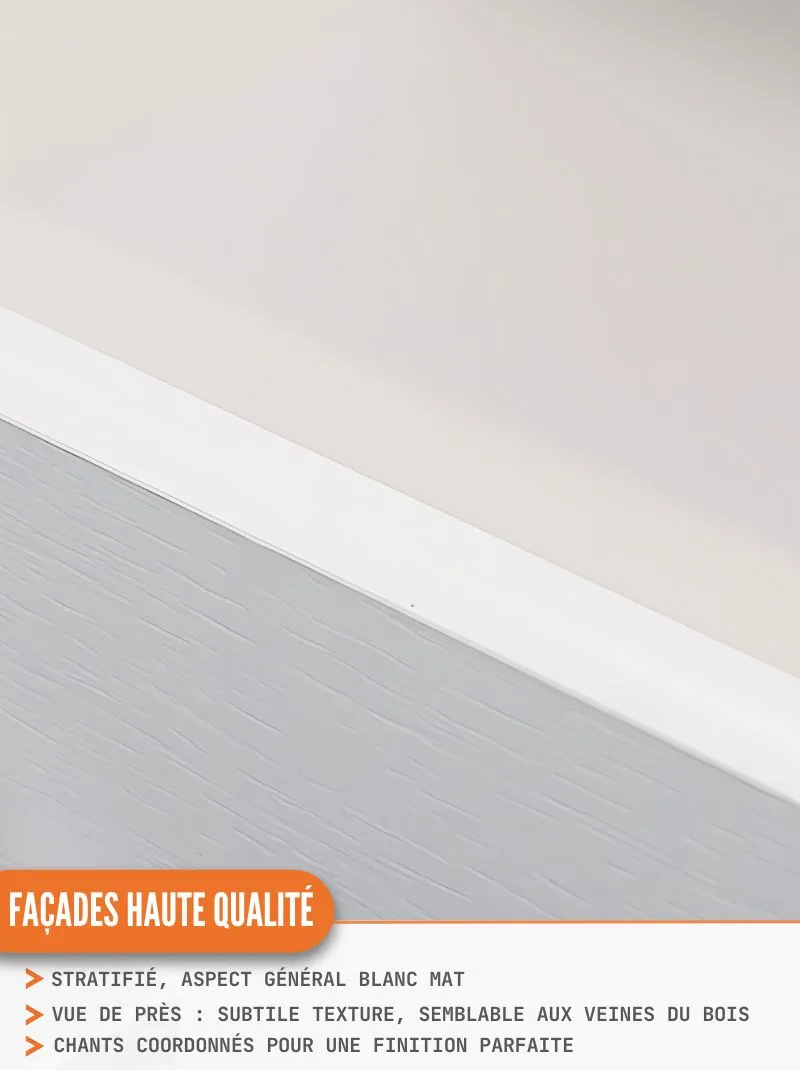 Meuble haut de cuisine Eco Blanc 2 portes L 80 cm