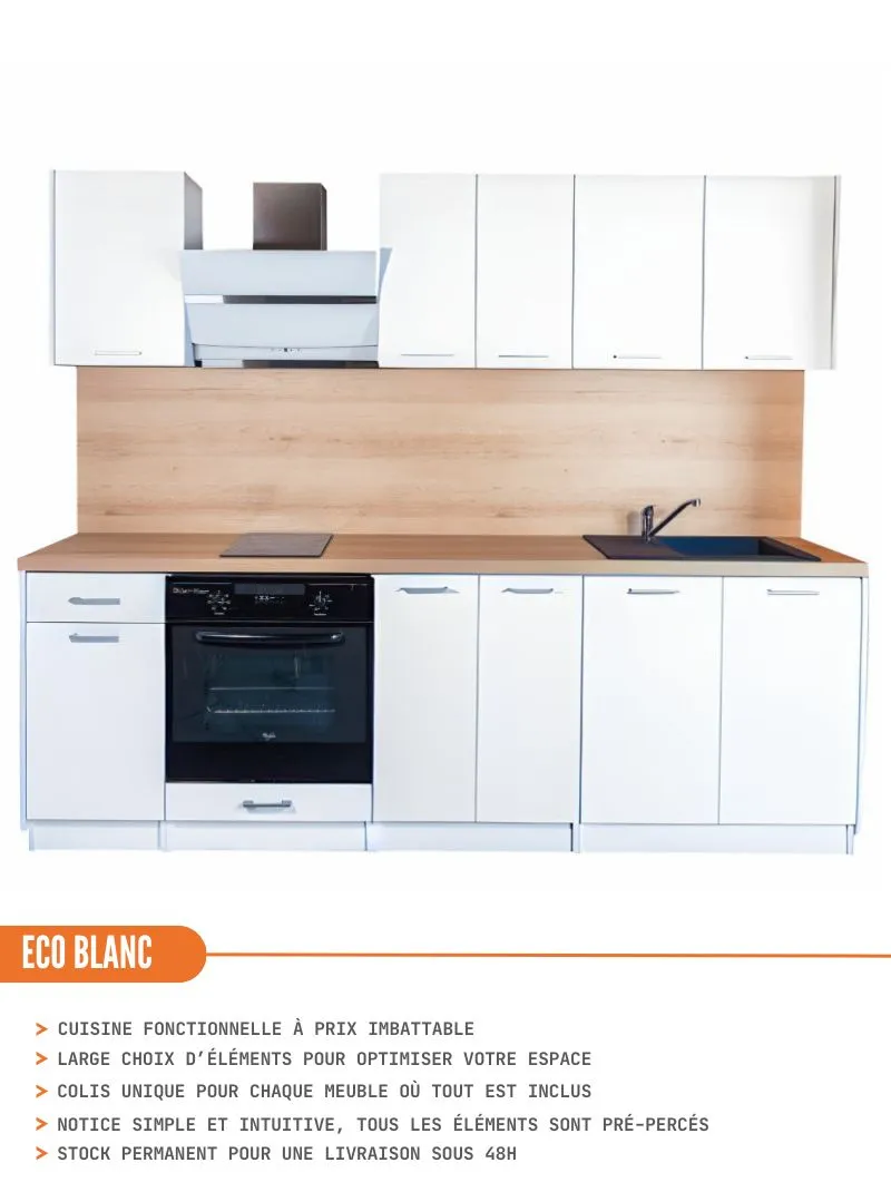 Meuble sous-évier Eco Blanc 2 portes L 80 cm