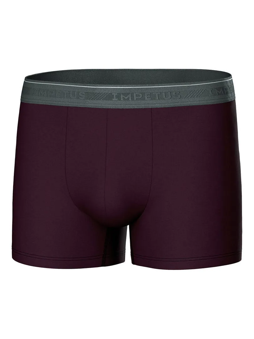 Pack de 3 boxers en coton bio - Gris