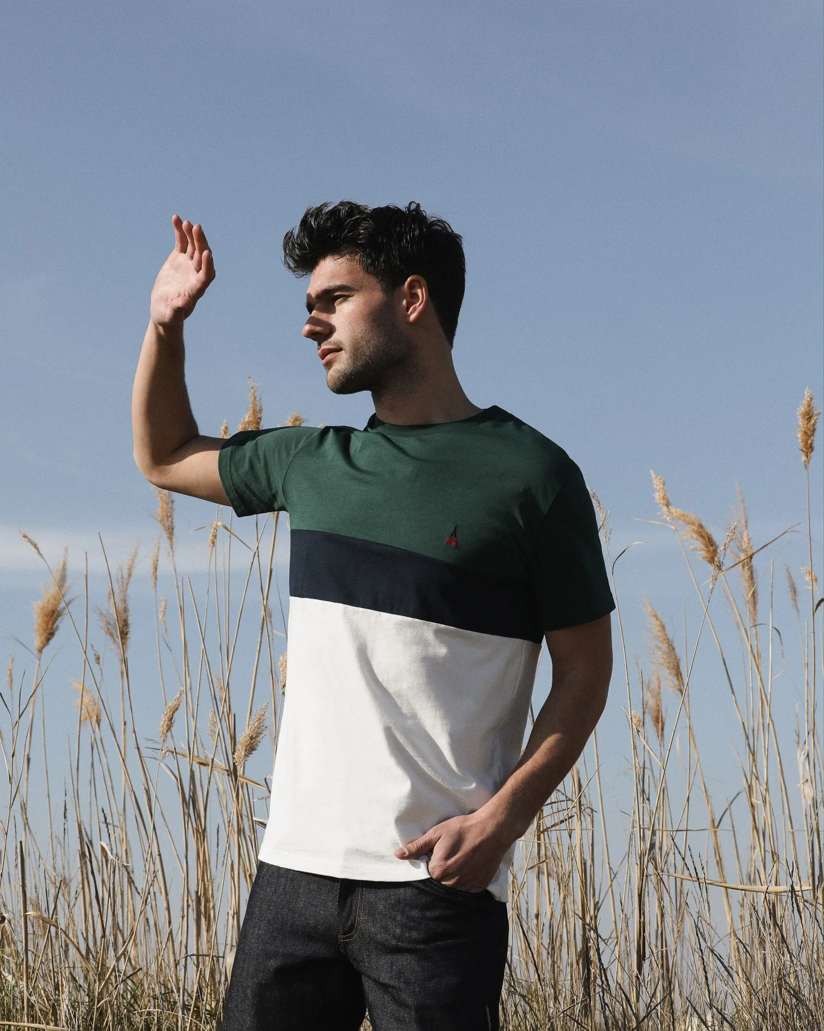 T-SHIRT MAN ORGANIC COTTON | TRISTAN | TRICOLORE