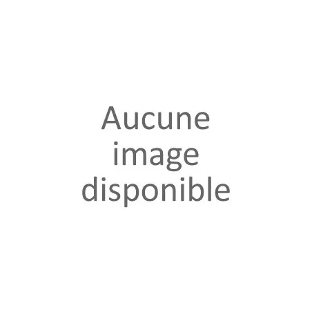 Tregging ceinture strass femme
